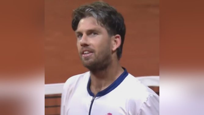 这不仅证明 这不仅证明